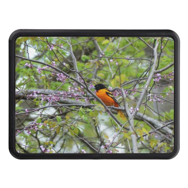 Baltimore Oriole Hitch Cover (Front)