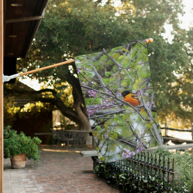 Baltimore Oriole House Flag (In SItu)