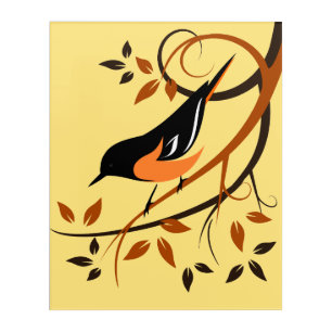 Baltimore Oriole In Tree Branch Acrylic Print