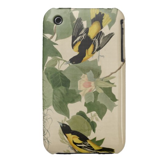 Baltimore Oriole iPhone 3 Case-Mate Case