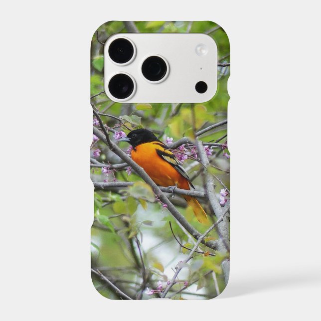 Baltimore Oriole Iphone Case (Back)