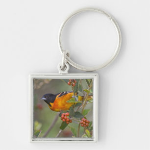 Baltimore Oriole Keychain