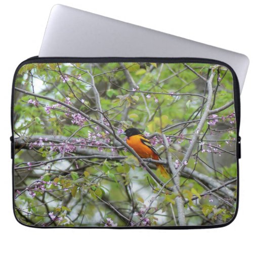 Baltimore Oriole  Laptop Sleeve