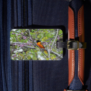 Baltimore Oriole Luggage Tag
