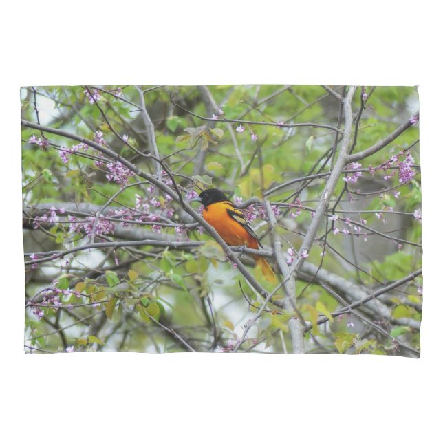 Baltimore Oriole Pillow Case (Front)