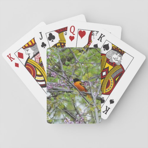 Baltimore Oriole Playing Cards