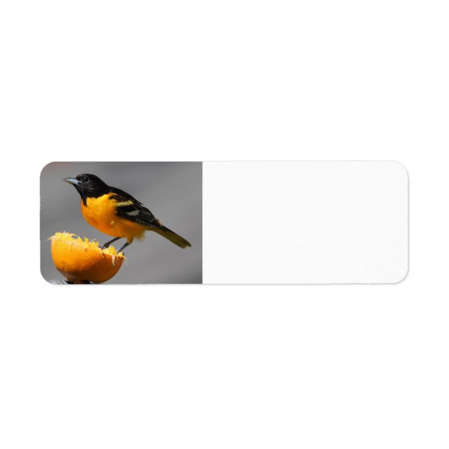 Baltimore Oriole return address labels (Front)