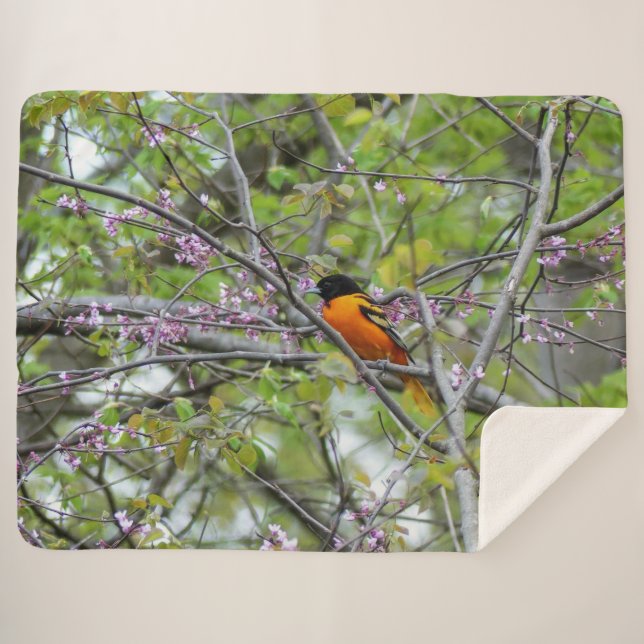 Baltimore Oriole Sherpa Blanket (Front (Horizontal))