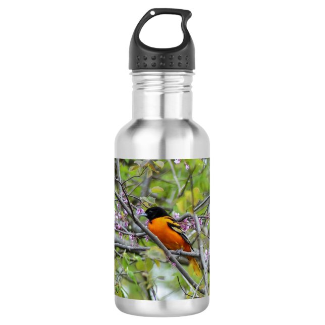 Baltimore Oriole Stainless Steel Water Bottle (Front)
