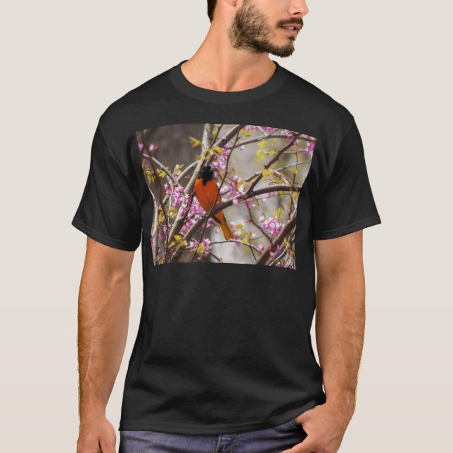 Baltimore Oriole T-Shirt (Front)