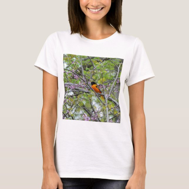 Baltimore Oriole T-Shirt (Front)