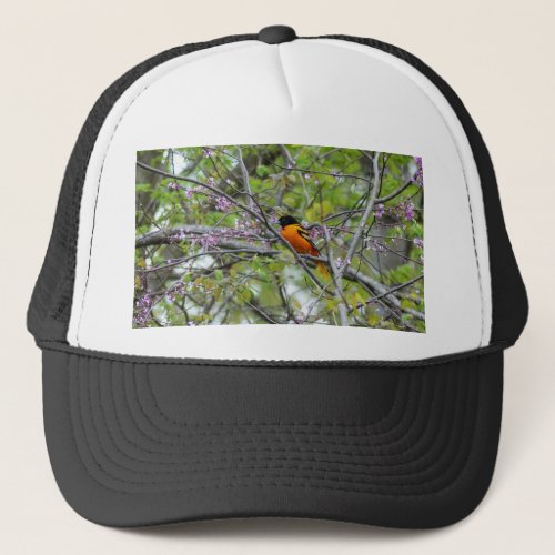 Baltimore Oriole Trucker Hat