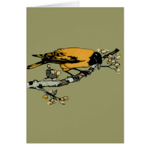 Baltimore Oriole Yellow Vintage Bird Illustration Cards