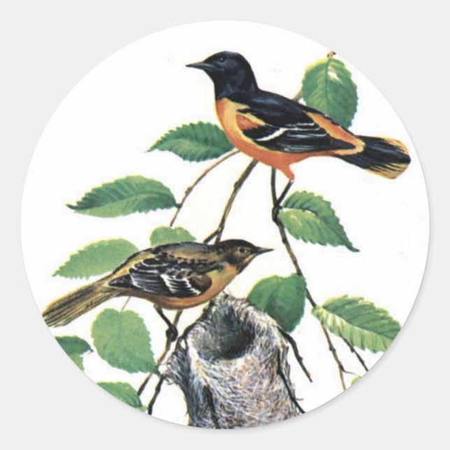 Baltimore Orioles Illustrated Birds Classic Round Sticker (Front)