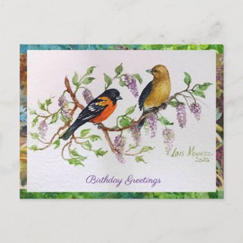 Baltimore Orioles Postcard Greeting by lmountz1935 at Zazzle