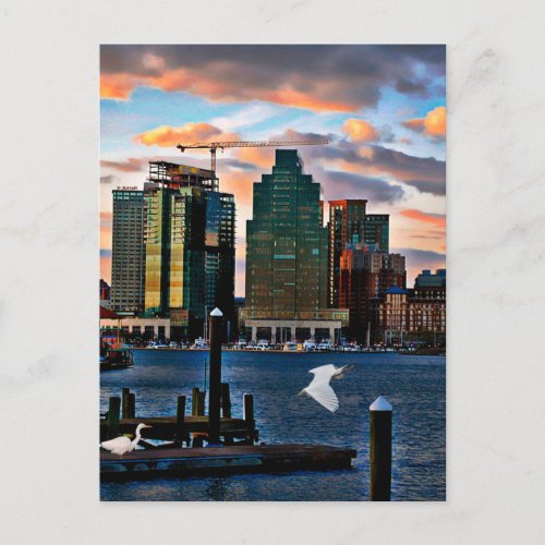 Baltimore Skyline from Locust Point Maryland  Postcard