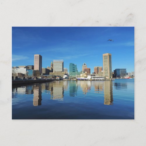 Baltimore Skyline Postcard