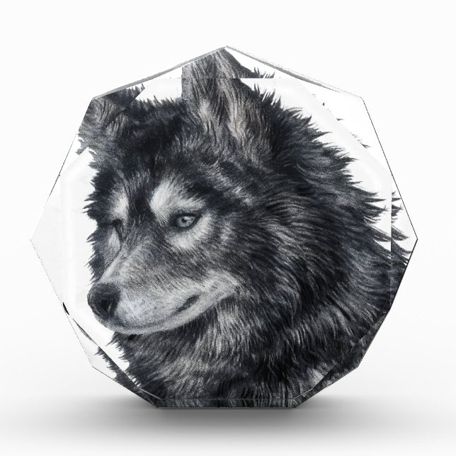 Balto Dog Acrylic Award (Front)