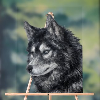 Balto Dog