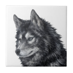 Balto Dog Ceramic Tile
