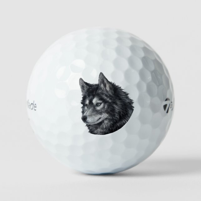 Balto Dog Illustration Golf Balls (Front)