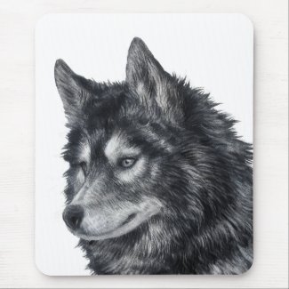 Balto Dog