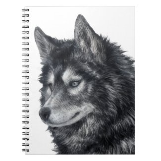 Balto Dog