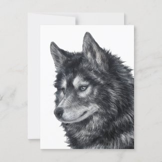 Balto Dog