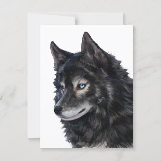 Balto Dog