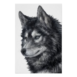 Balto Dog