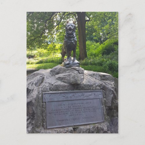 Balto Statue in Central Park Postcard