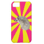 apple_iphone5c