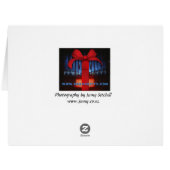 Bamberg organ (Back Horizontal)