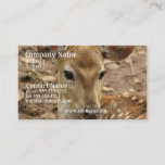 Bambi Deer Business Card