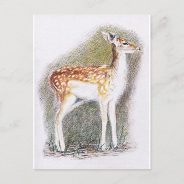 Bambi Postcard (Front)