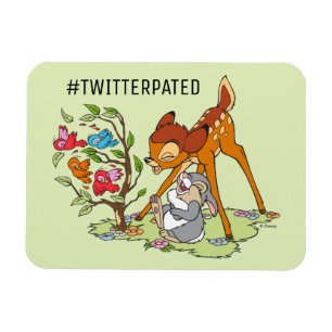 Bambi & Thumper Laughing At Birds Magnet
