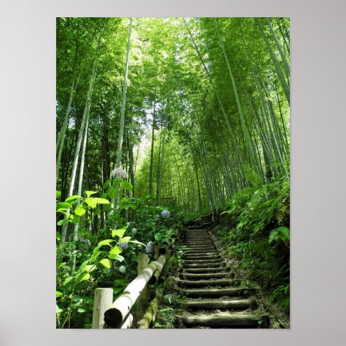 Bambo Forest path stairs steps Print