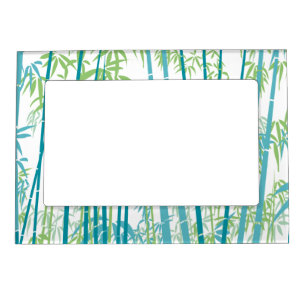 Bamboo 6 magnetic frame