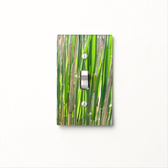 Bamboo Against the Sun Light Switch Cover (In Situ)