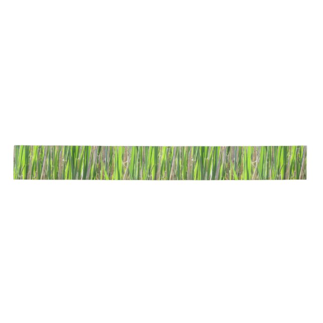 Bamboo Against the Sun Satin Ribbon (Front)