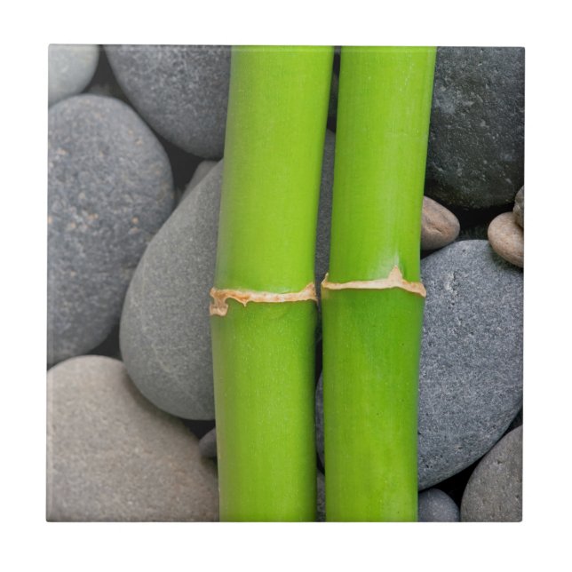 Bamboo and pebble ceramic tile (Front)