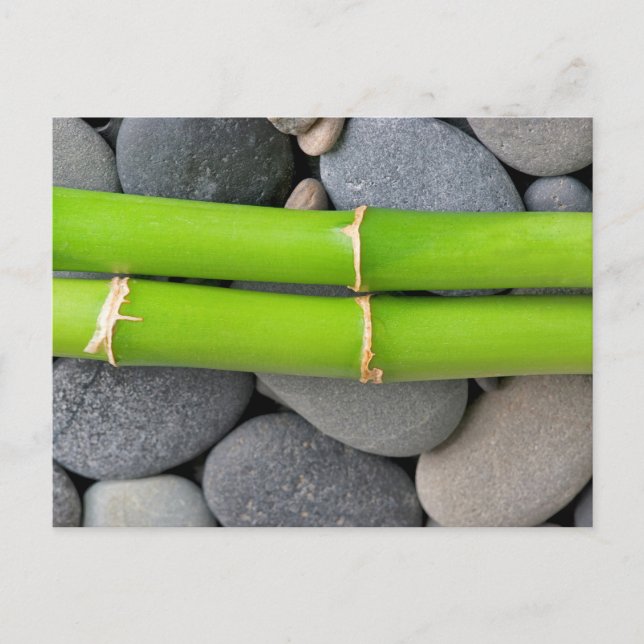 Bamboo and pebble postcard (Front)