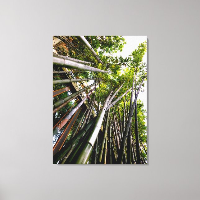 BAMBOO ART CANVAS PRINT (Front)
