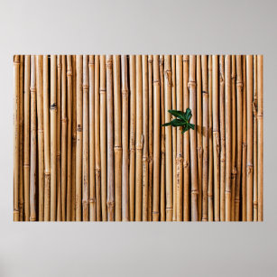 Bamboo barrier screen fence poster