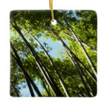 Bamboo Botanical Nature Photography Ceramic Ornament