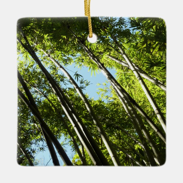 Bamboo Botanical Nature Photography Ceramic Ornament (Front)