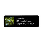Bamboo Botanical Nature Photography Label