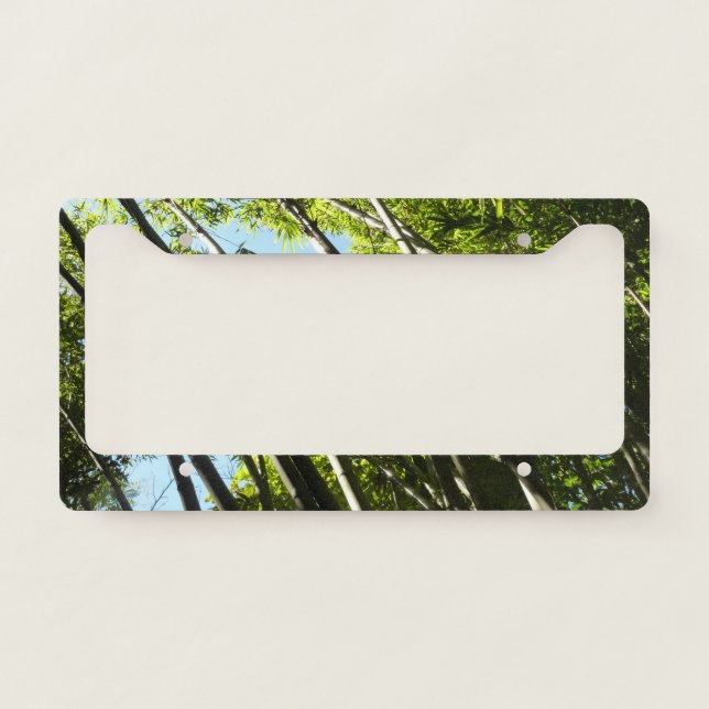 Bamboo Botanical Nature Photography License Plate Frame (Front)