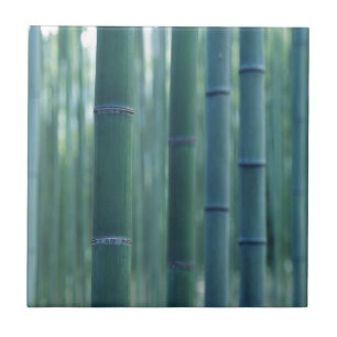 Bamboo Break Ceramic Tile