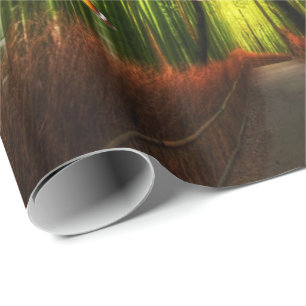 Bamboo & Butterfly Art 2 Wrapping Paper